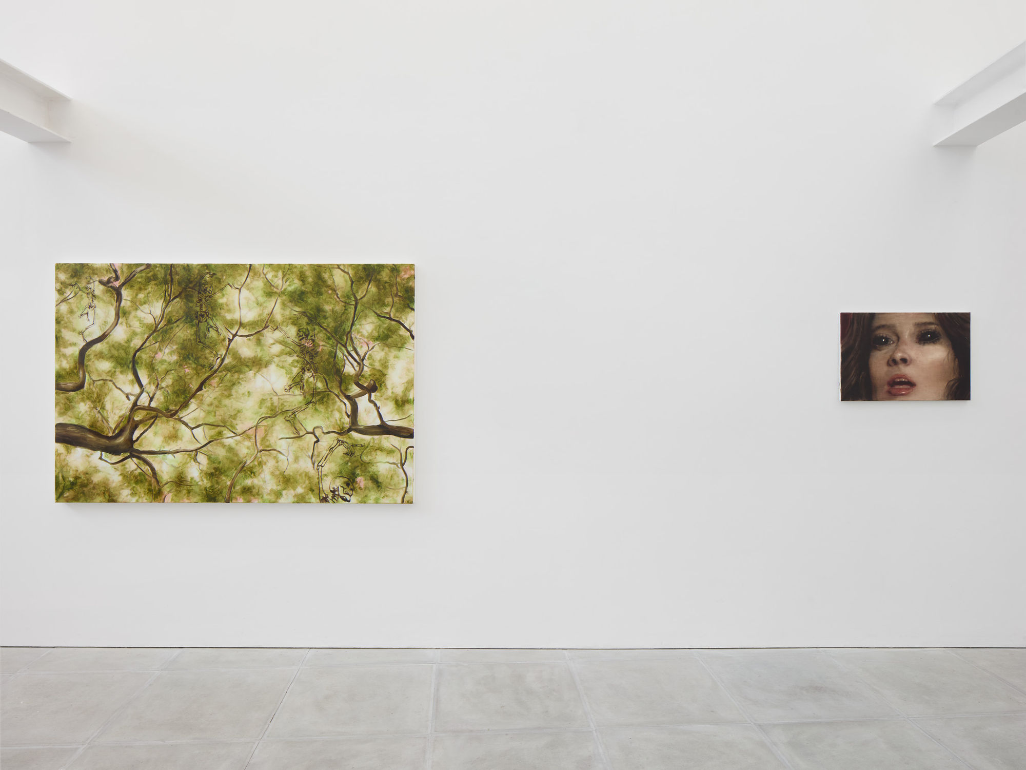 Tomas Harker: Sherwood Forest