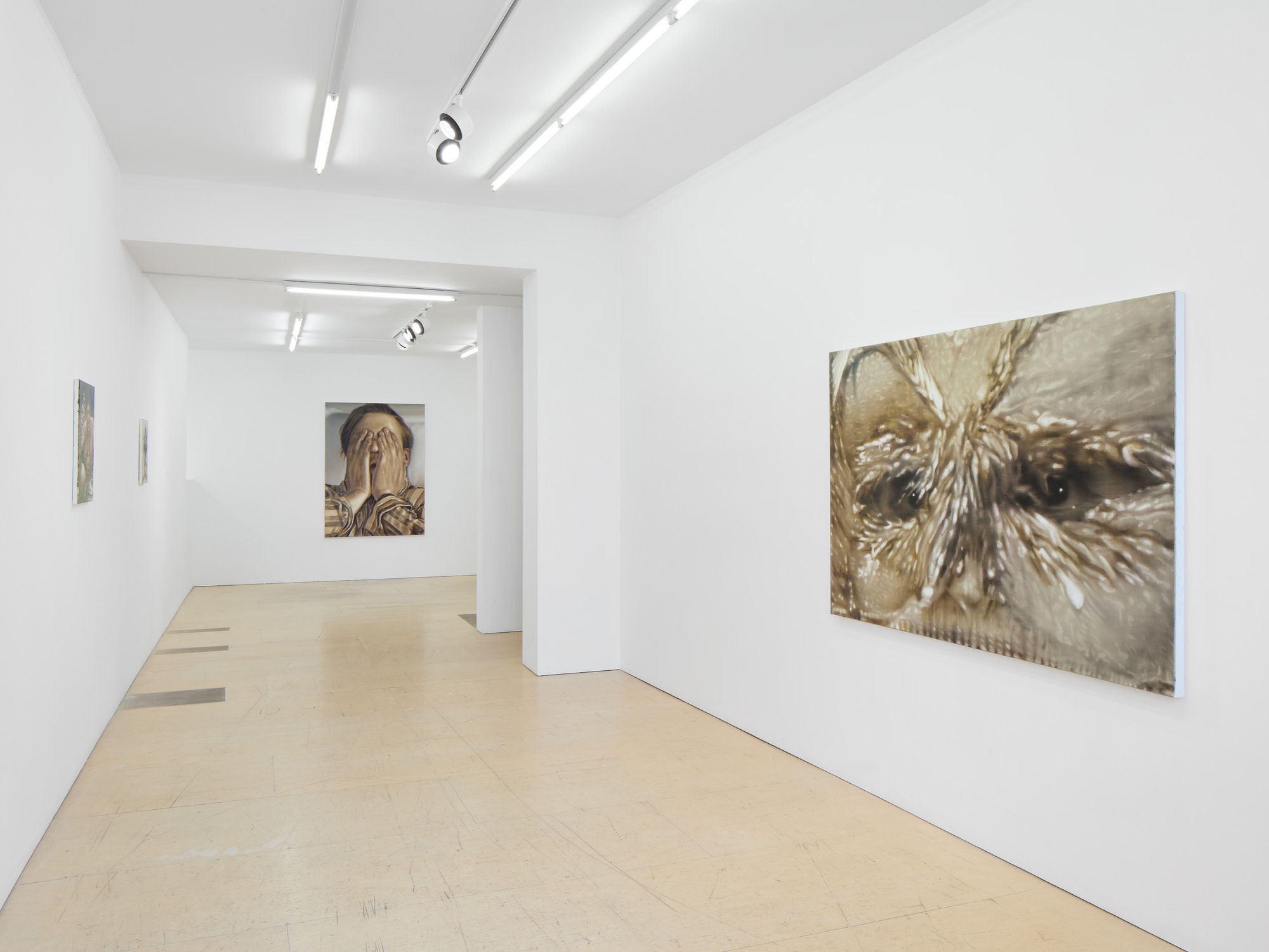 Tomas Harker: Sherwood Forest