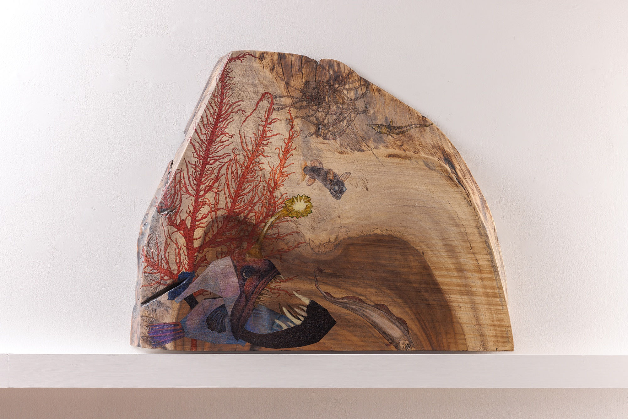 楊茂林, 黯黑的放浪者．密棘鮟鱇M2201, 2022 Yang Mao-Lin,Wanderers of the Abyssal Darkness, Triplewart Seadevil M2201, 2022