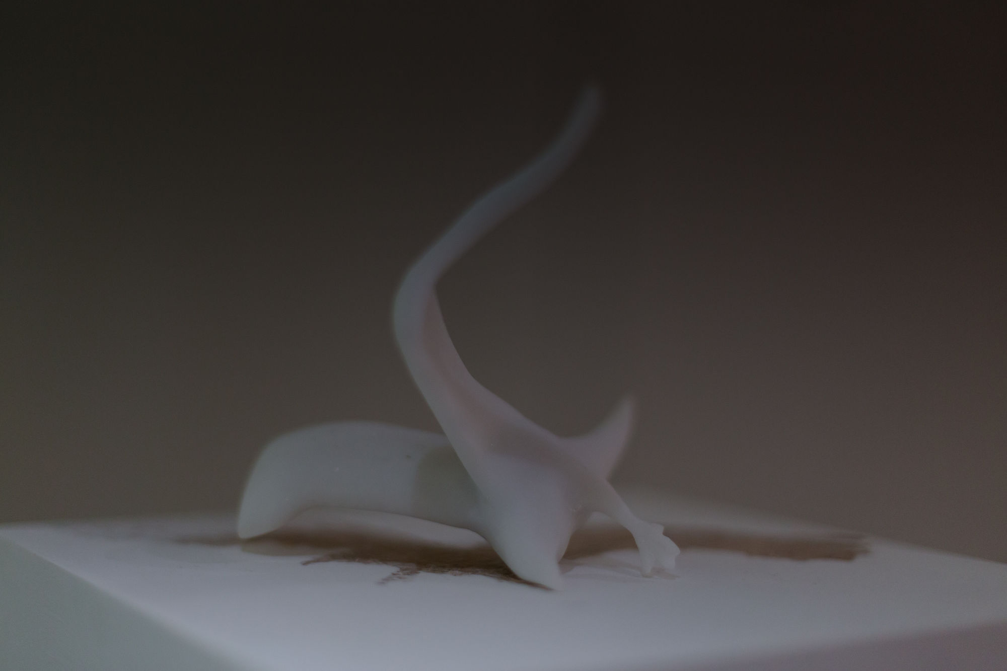 打開 — 當代 2016 選