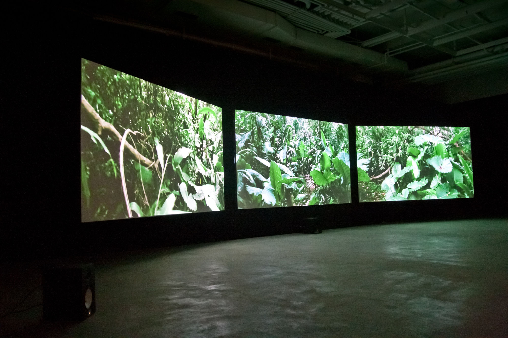 離魂症：幻影神遊者