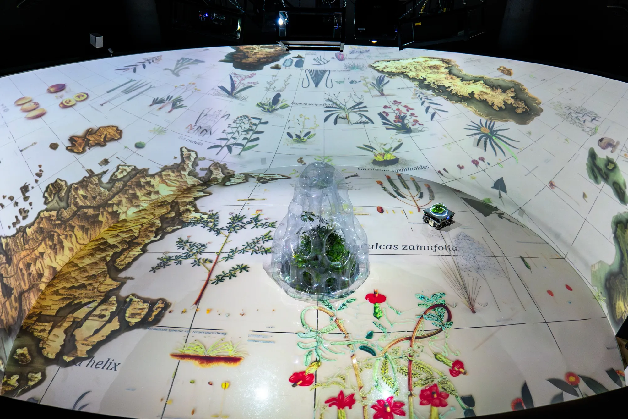 藝術家吳其育 提供 Courtesy of Wu Chi-Yu