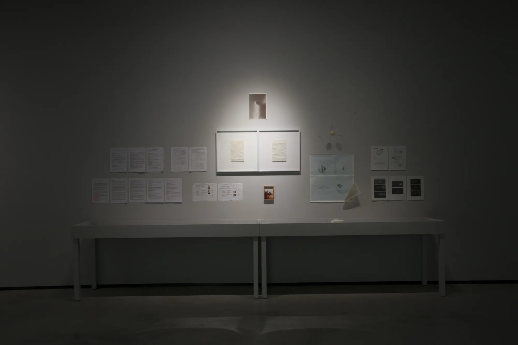 Photo credit / 牛俊強 Niu Jun Qiang