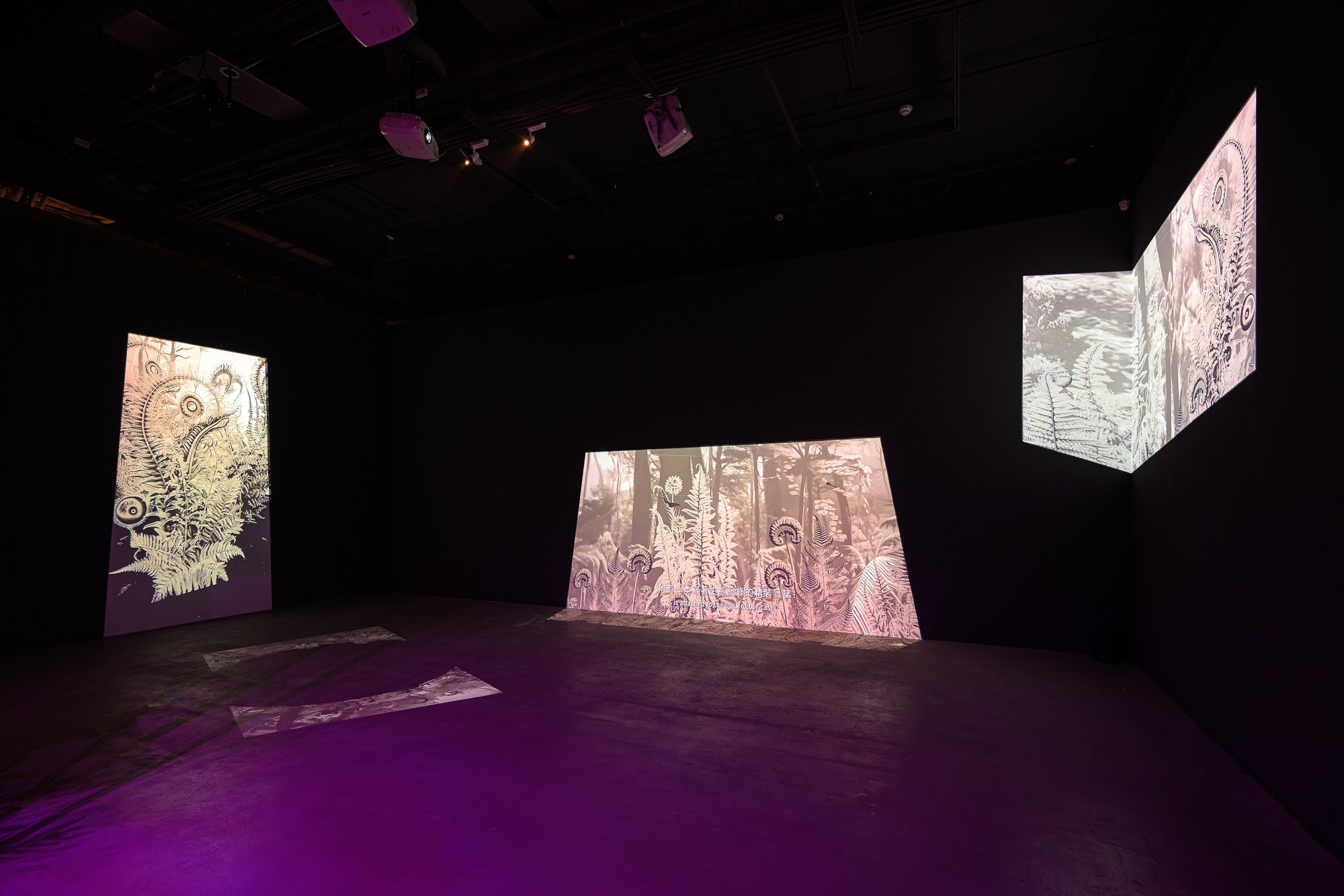 展場照，王世邦攝影 Installation view, photo by ANPIS FOTO