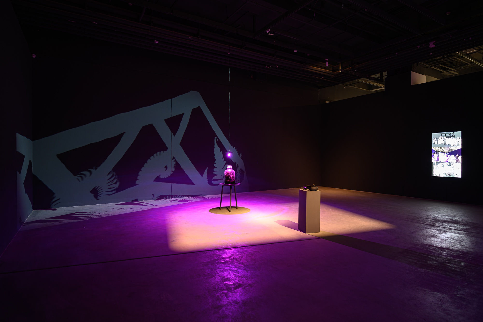 展場照，王世邦攝影 Installation view, photo by ANPIS FOTO