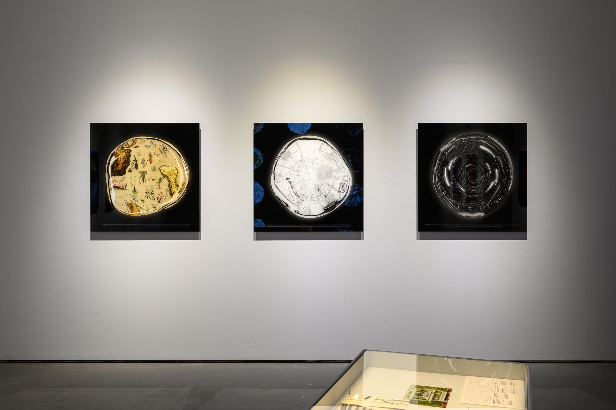 展場照，王世邦攝影 Installation view, photo by ANPIS FOTO