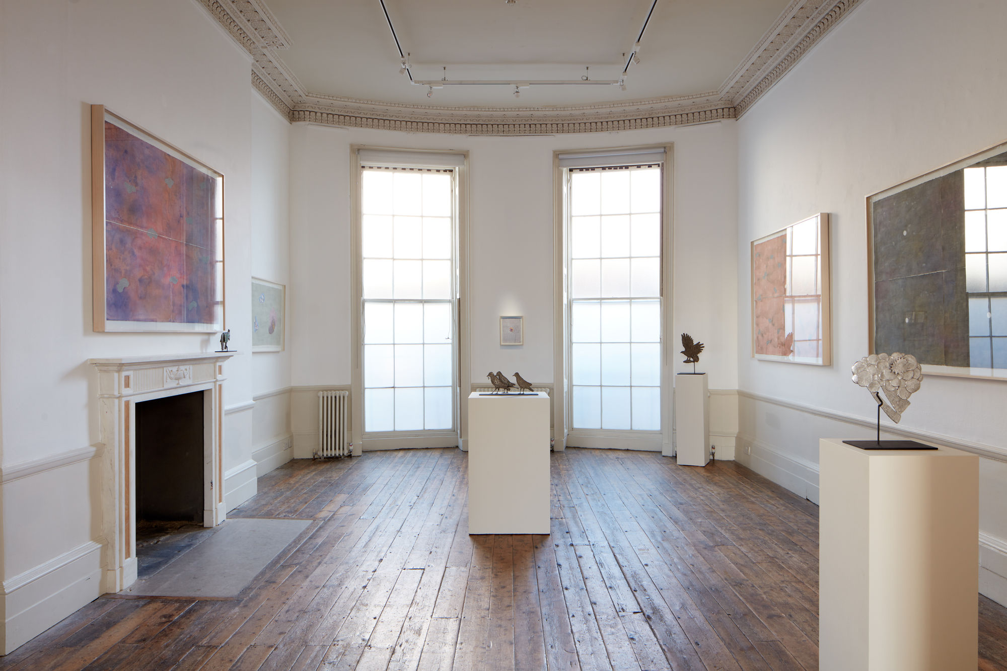 Of Birds and Monkeys