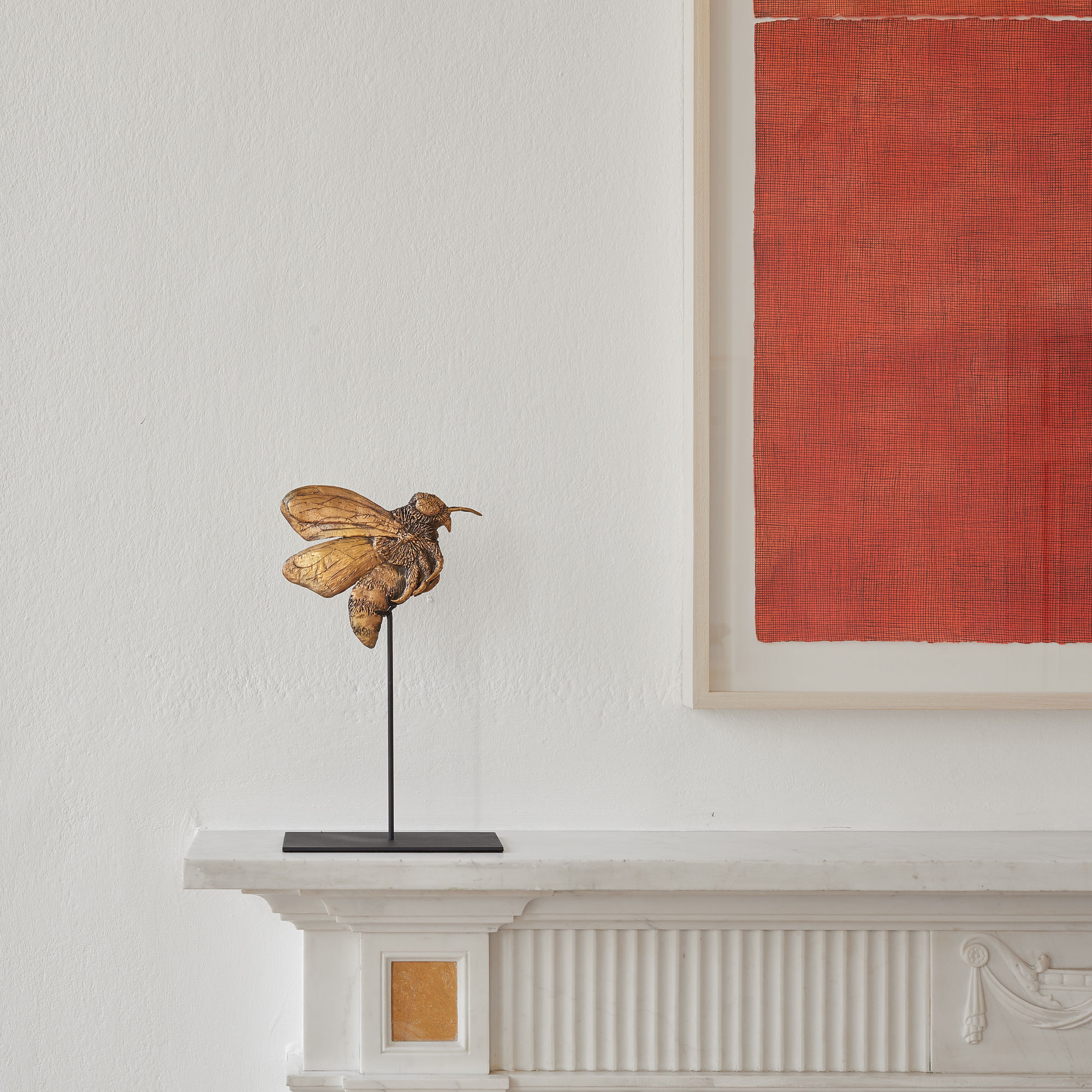 Of Birds and Monkeys