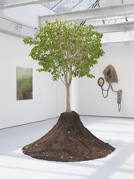 goldiechiariGenealogy of Damnatio Memoriae, Stay Behind, 2011Hand-carved Ficus Benjamina, plastic container and saucer, soilApprox. height: 96 inches (243.8 cm); Installation dimensions variable
