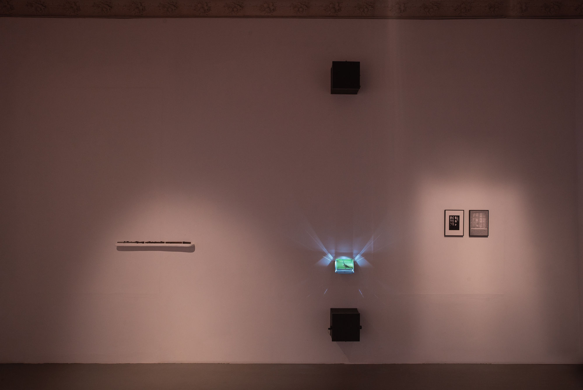 Deimantas Narkevičius, installation view Photographed by Laurynas Skeisgiela