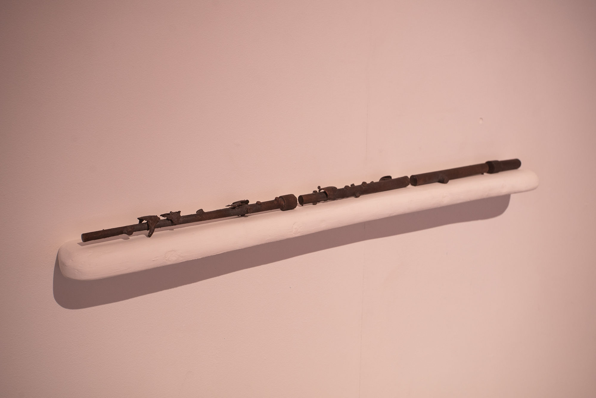 Deimantas Narkevičius, installation view Photographed by Laurynas Skeisgiela