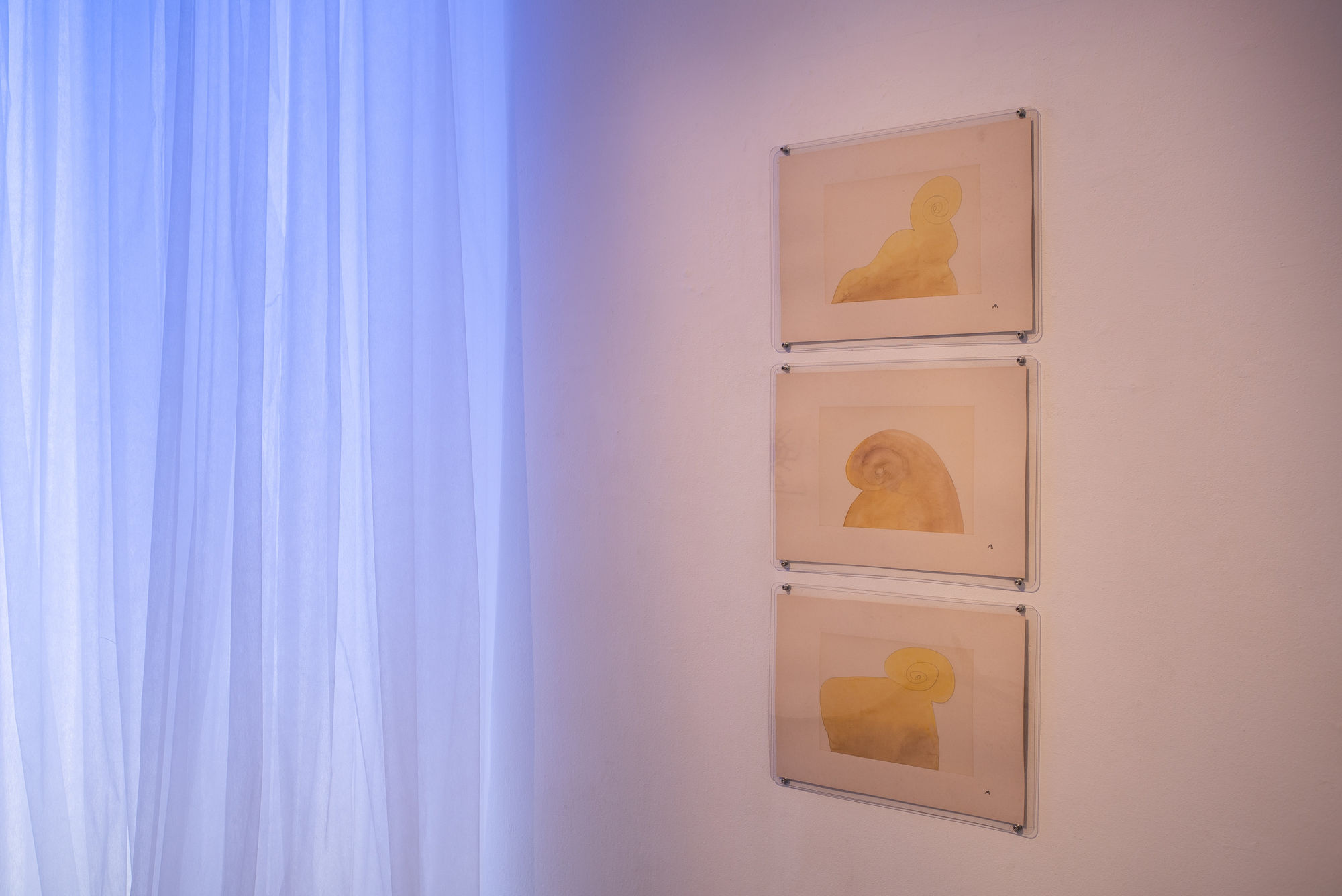 Antanas Mončys Installation view Photographed by Laurynas Skeisgiela