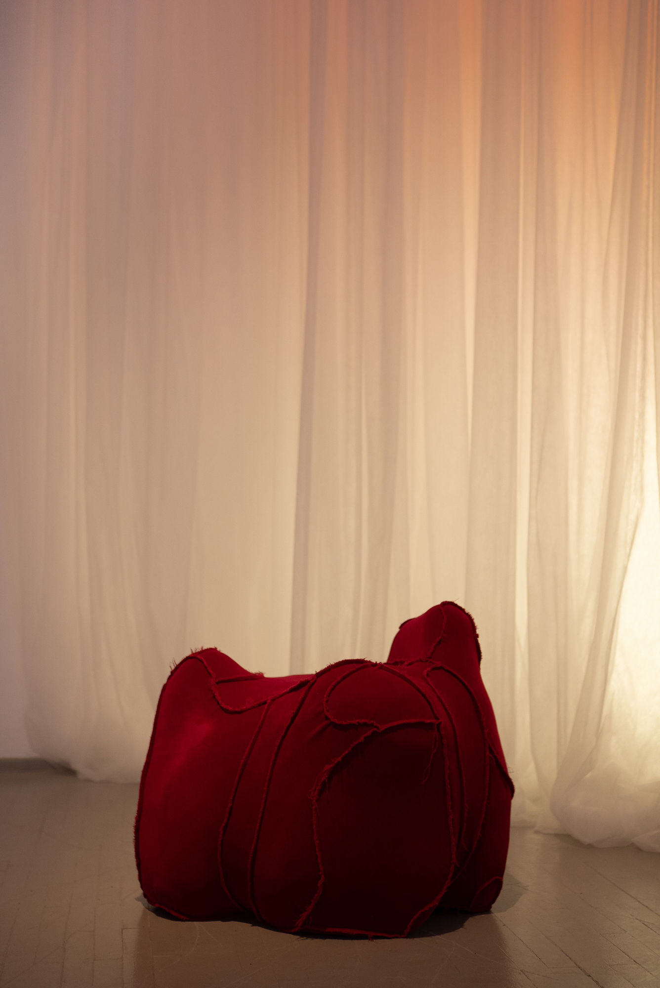 Marija Puipaitė, installation view Photographed by Laurynas Skeisgiela