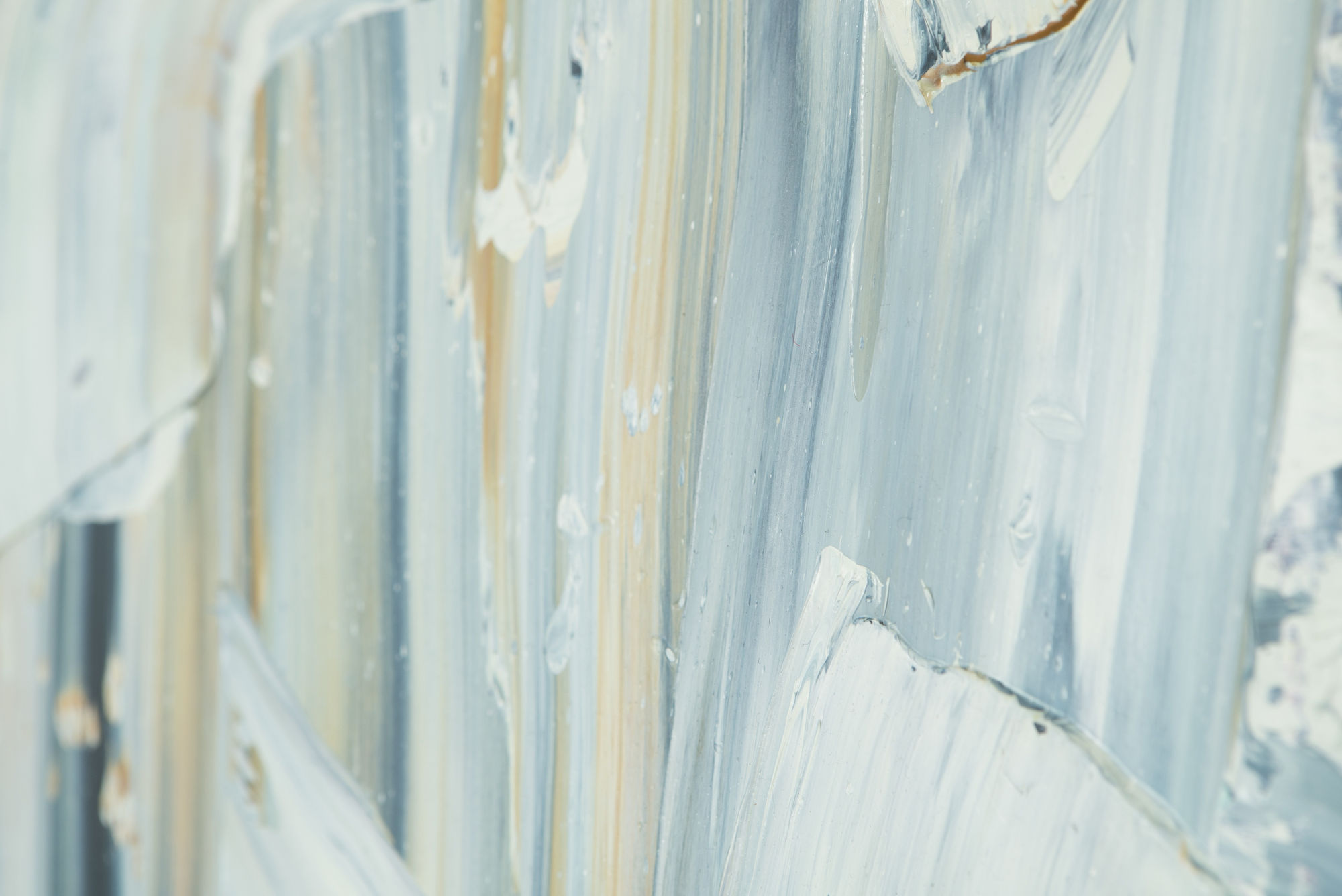 ADOMAS DANUSEVIČIUS