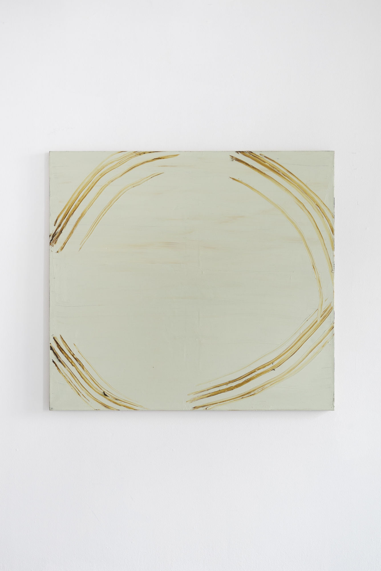 ADOMAS DANUSEVIČIUS