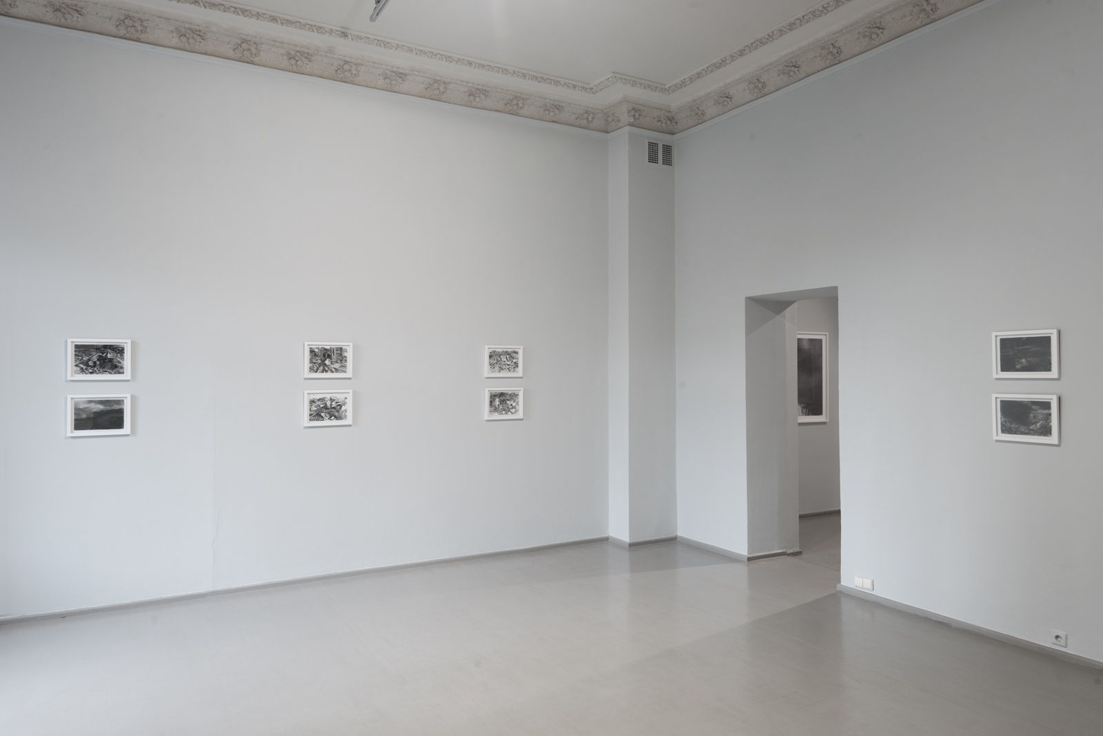 Mindaugas Lukošaitis