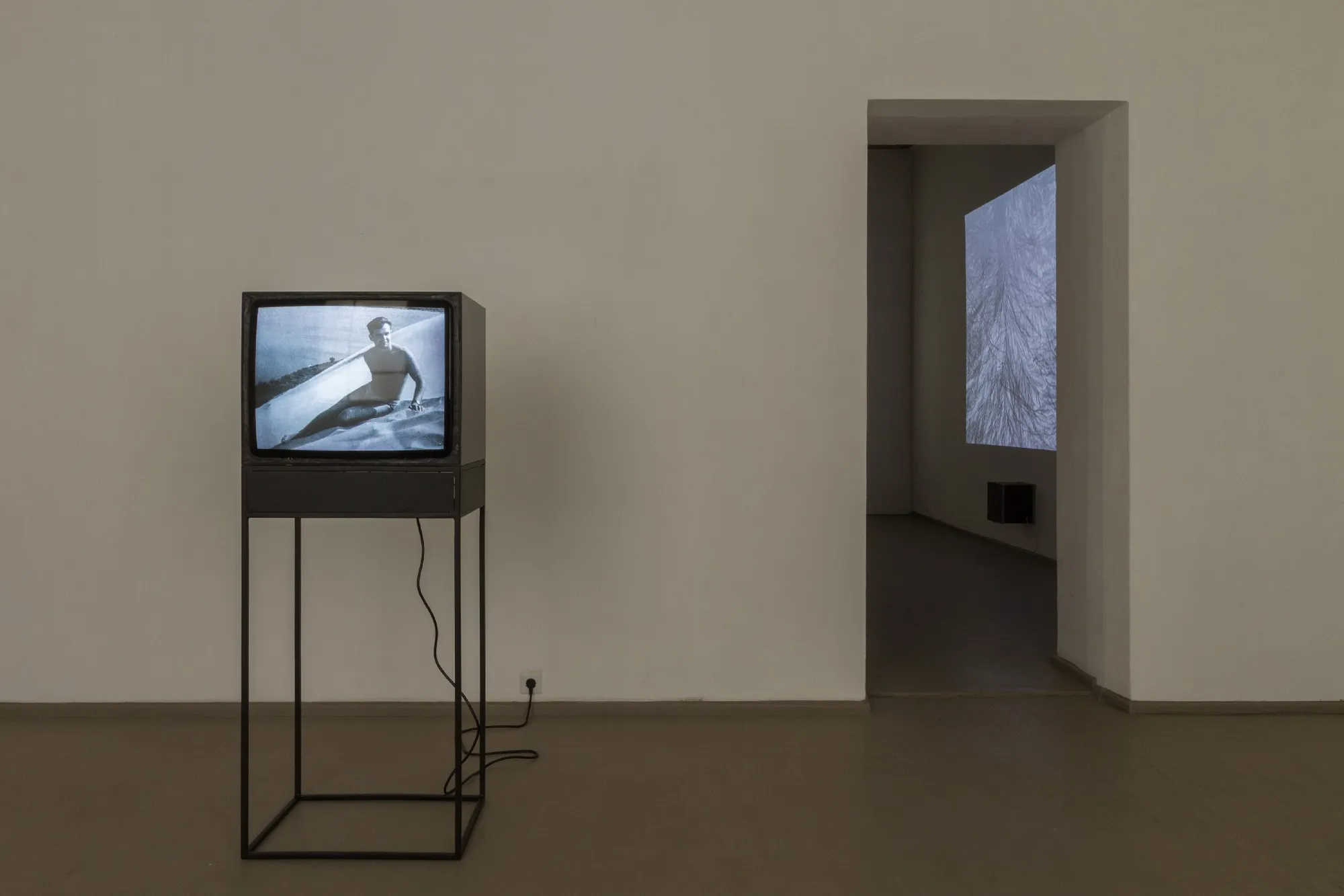 DEIMANTAS NARKEVIČIUS