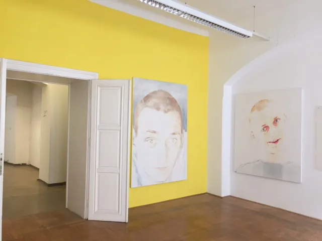 Parallel, Vienna, 2016 Installation shot from of the exposition with paintings by Donata Minderytė.