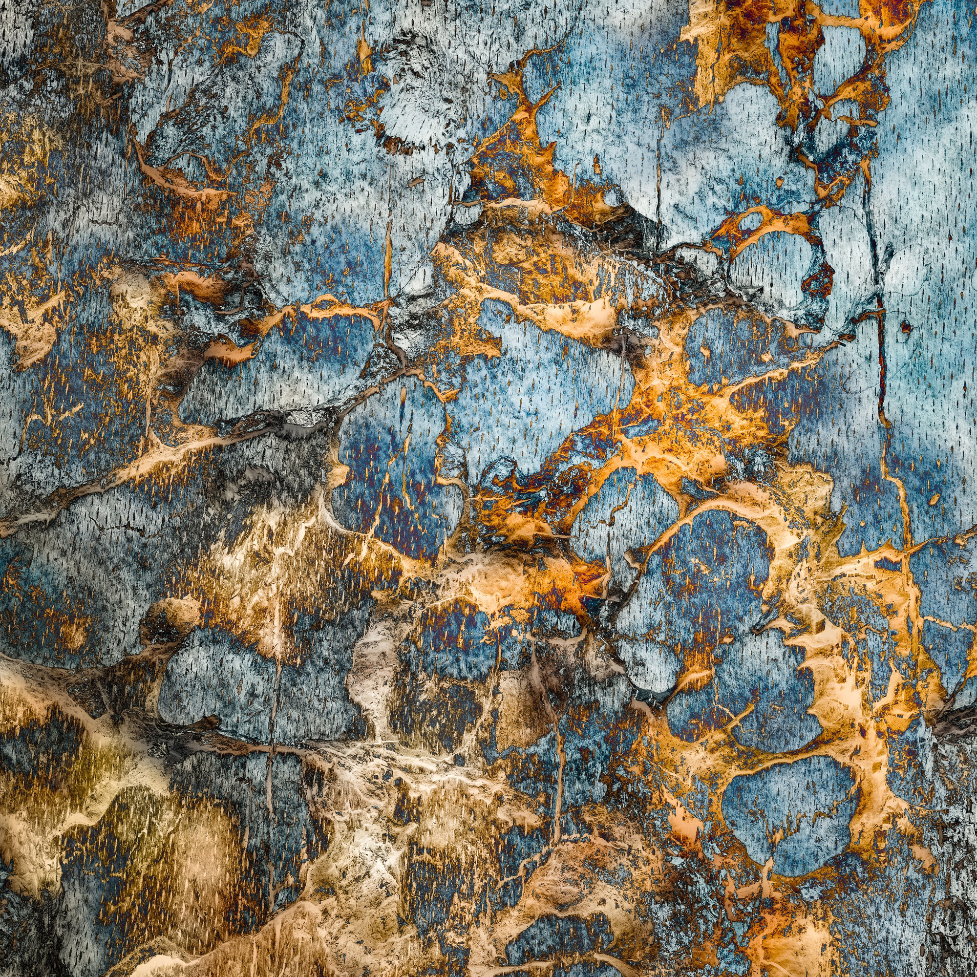 Boudewijn Swanenburg, Abstract Nature 47