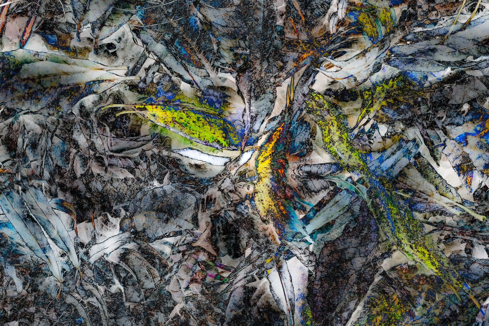 Boudewijn Swanenburg, Firebird, AN 38