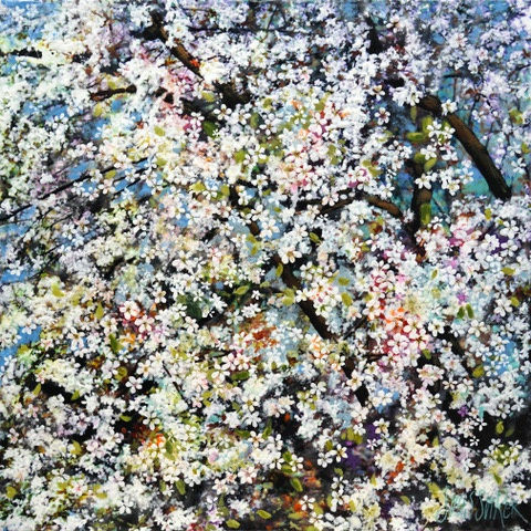 Suus Suiker, Symbiose 80-60