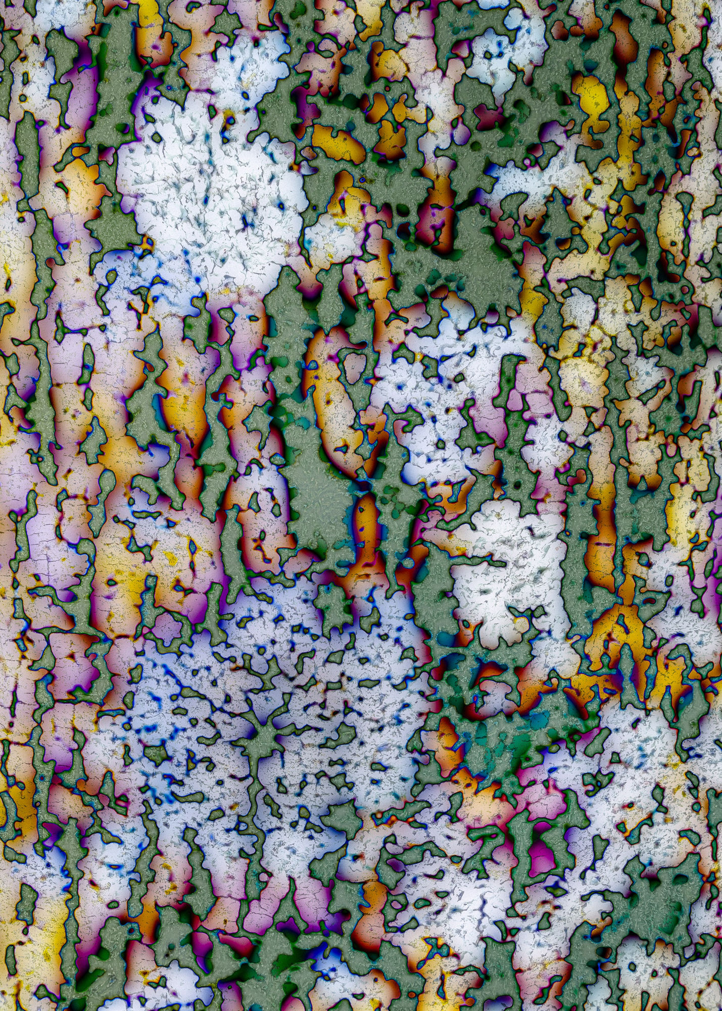 Boudewijn Swanenburg, Abstract Nature 52