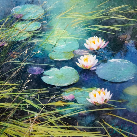 Suus Suiker, Symbiose 80-71