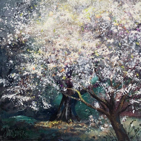 Suus Suiker, Symbiose 80-57