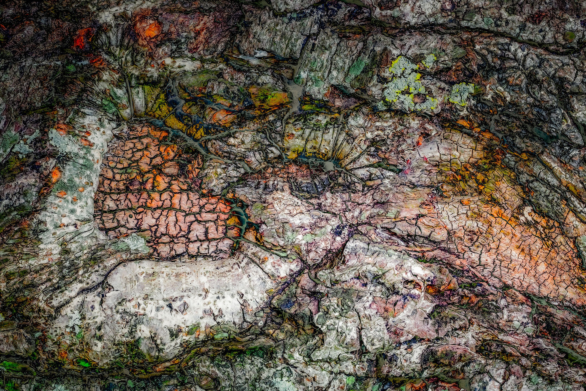 Boudewijn Swanenburg, Abstract Nature 46