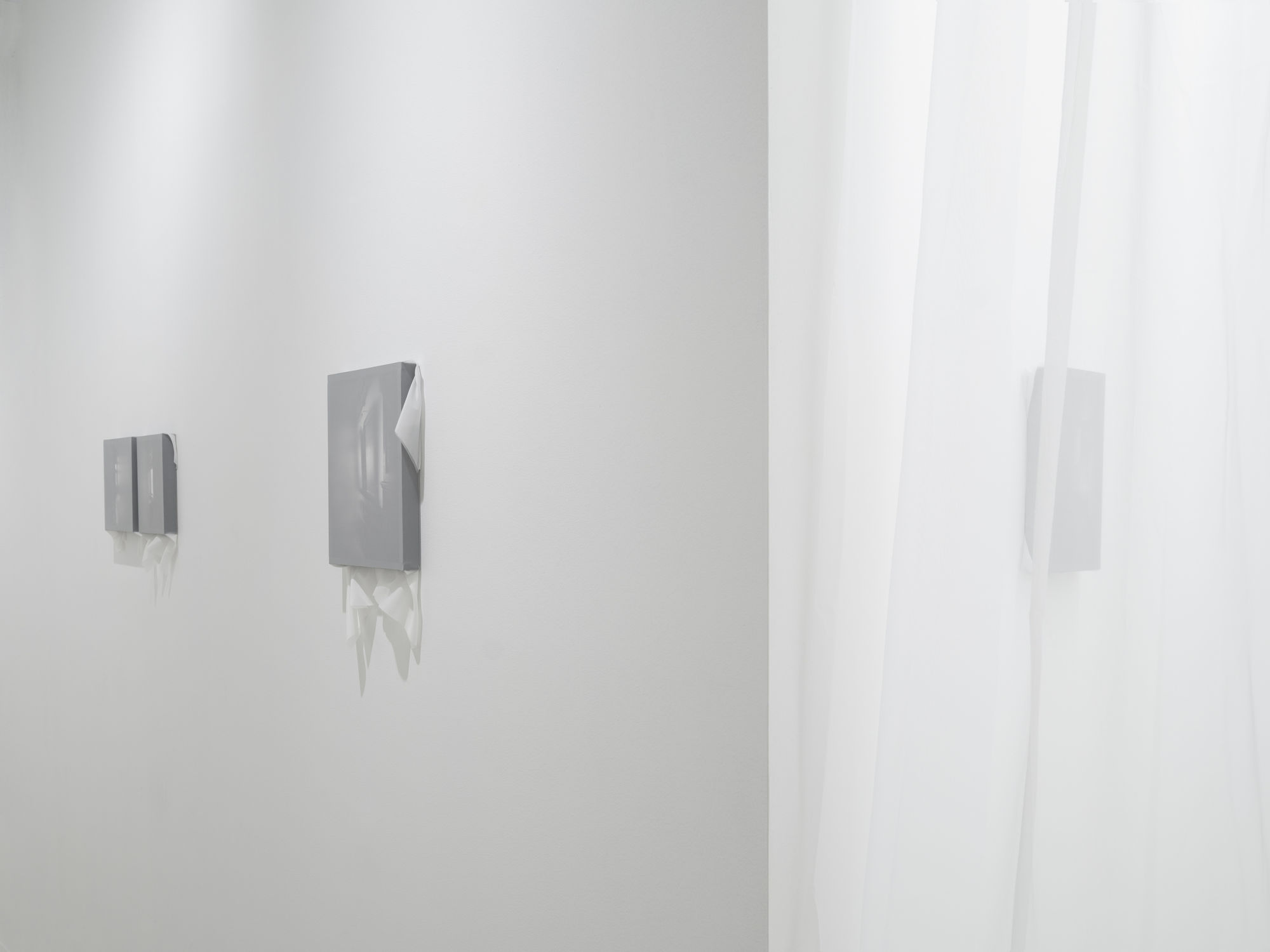 Sun Young Kang - Memories, Veiled