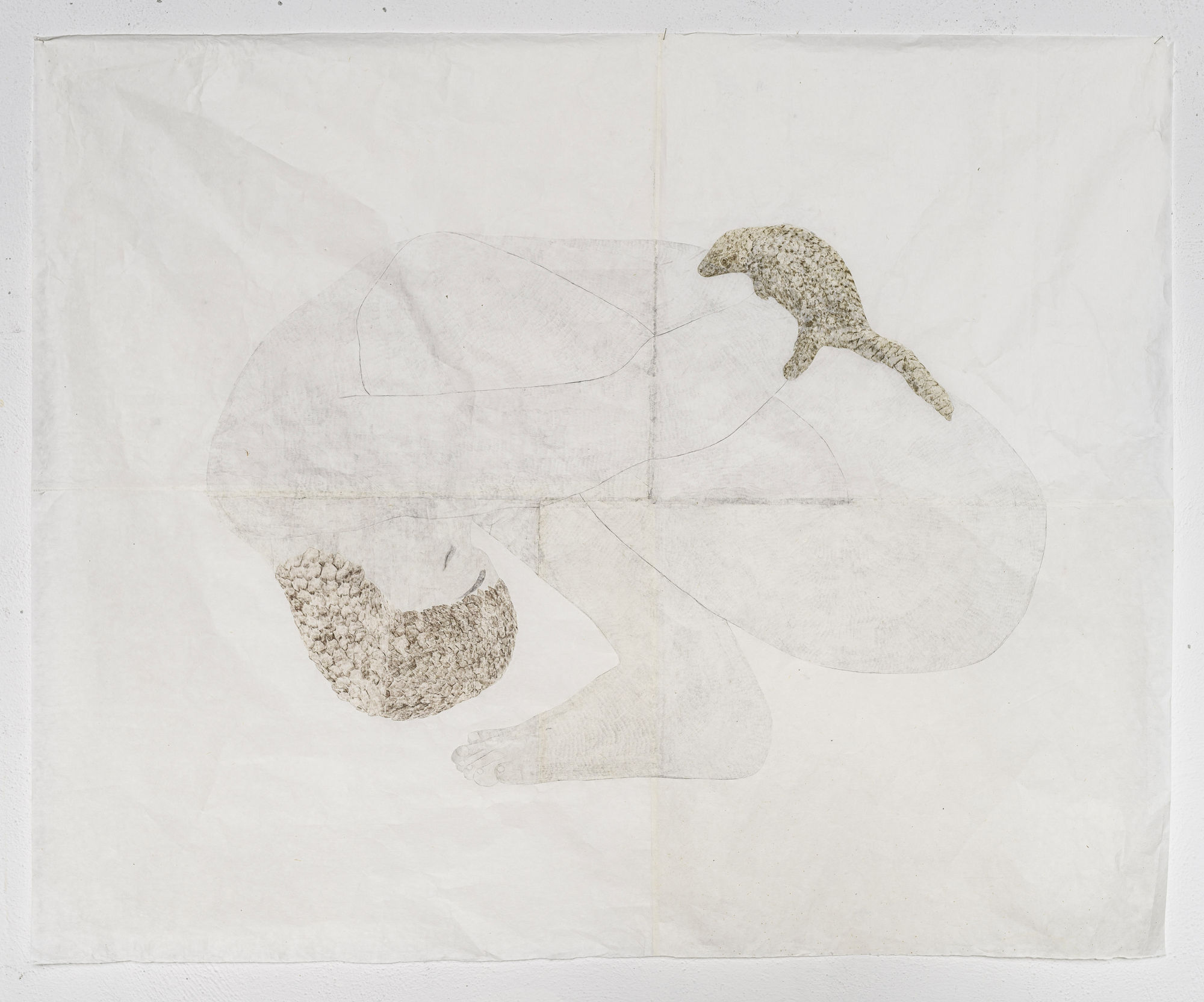 Marta Roberti Self portrait in garland pose with a pangoline, 2020 cm 100 x 130 Oil pastel on Yunnan paper exhibited in Io dico Io – I say I, curated by Cecilia Canziani, Lara Conte, Paola Ugolini, Galleria Nazionale d’Arte Moderna e Contemporanea, Rome