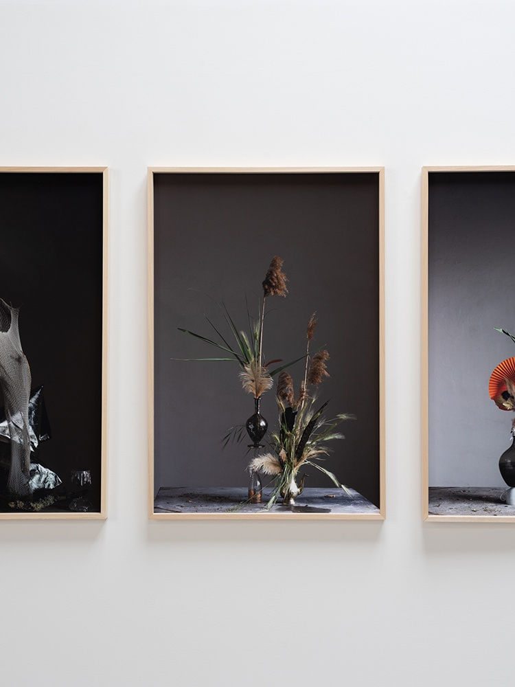 Installation view Still life | a cura di Davide Sarchioni | BBs-pro / Accaventiquattro Prato | 20 maggio – 26 settembre 2021