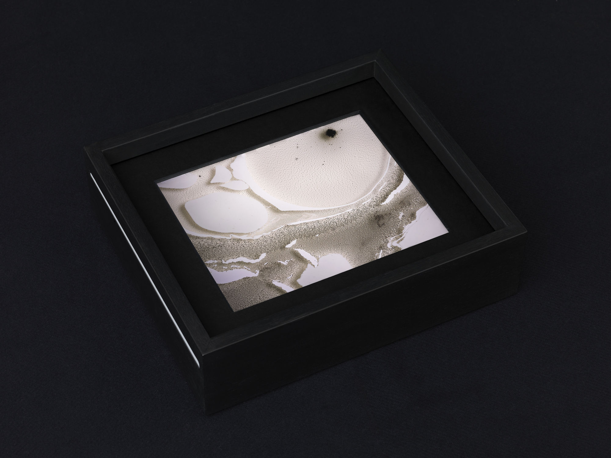 Beatrice Pediconi, Variabile #1, 2016