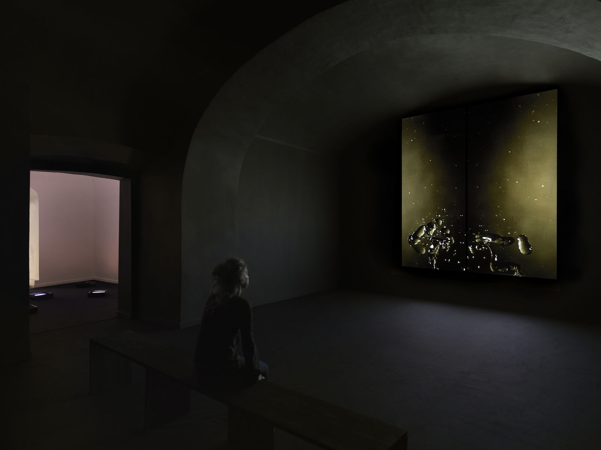 Beatrice Pediconi, Dimensioni Variabili, 2016