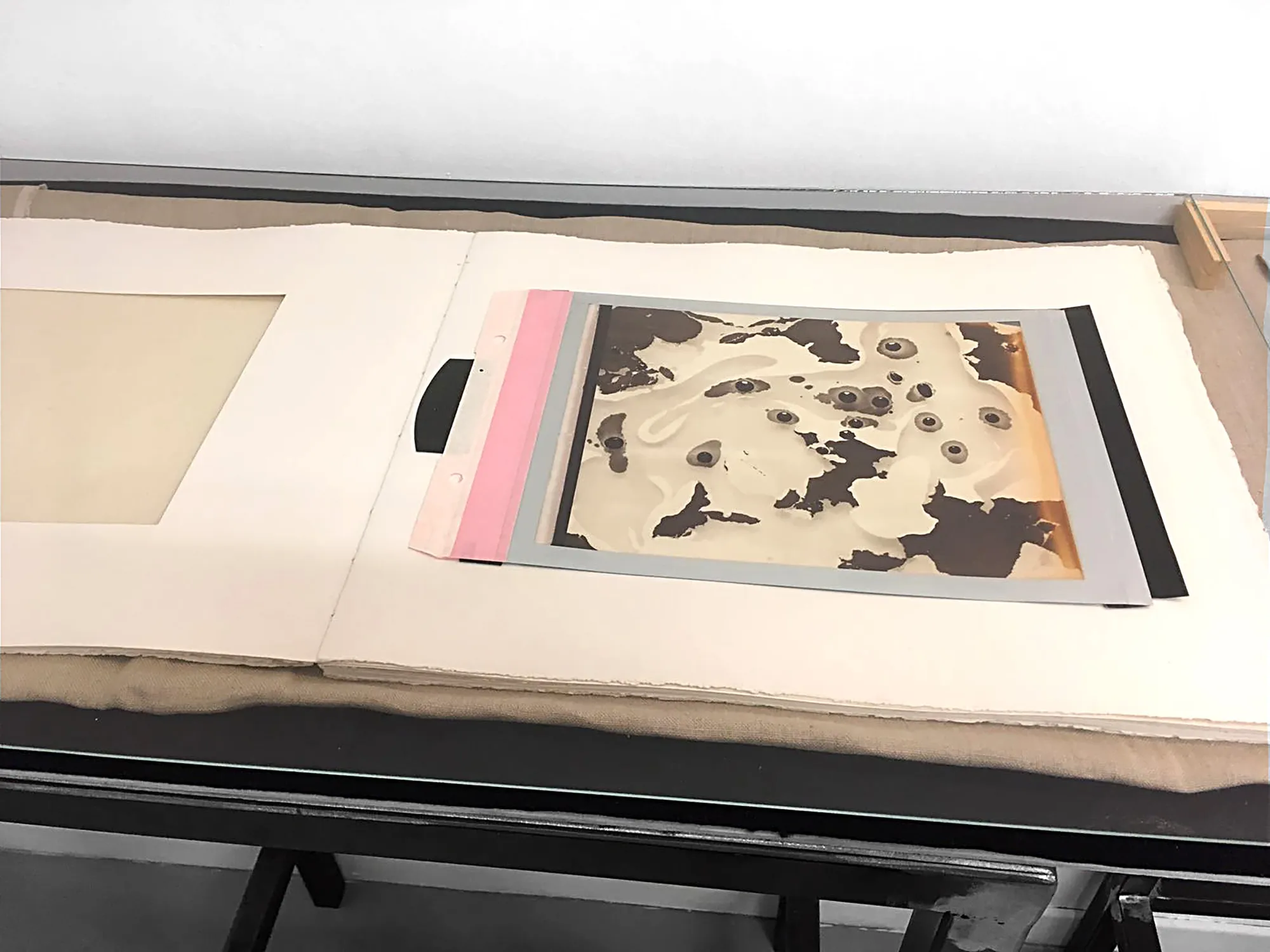 Beatrice Pediconi, Dimensioni Variabili, 2016, artist book