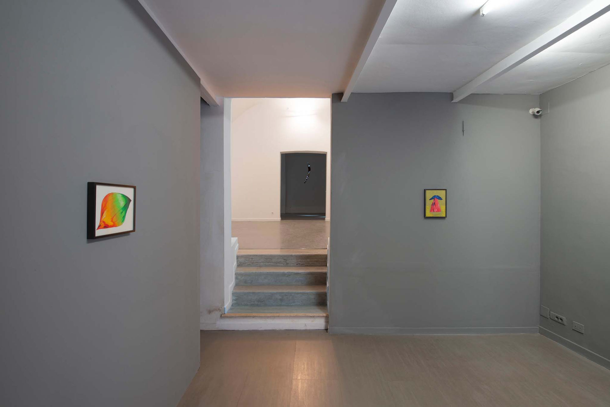 Giovanni Kronenberg, solo show at z2o Sara Zanin Gallery