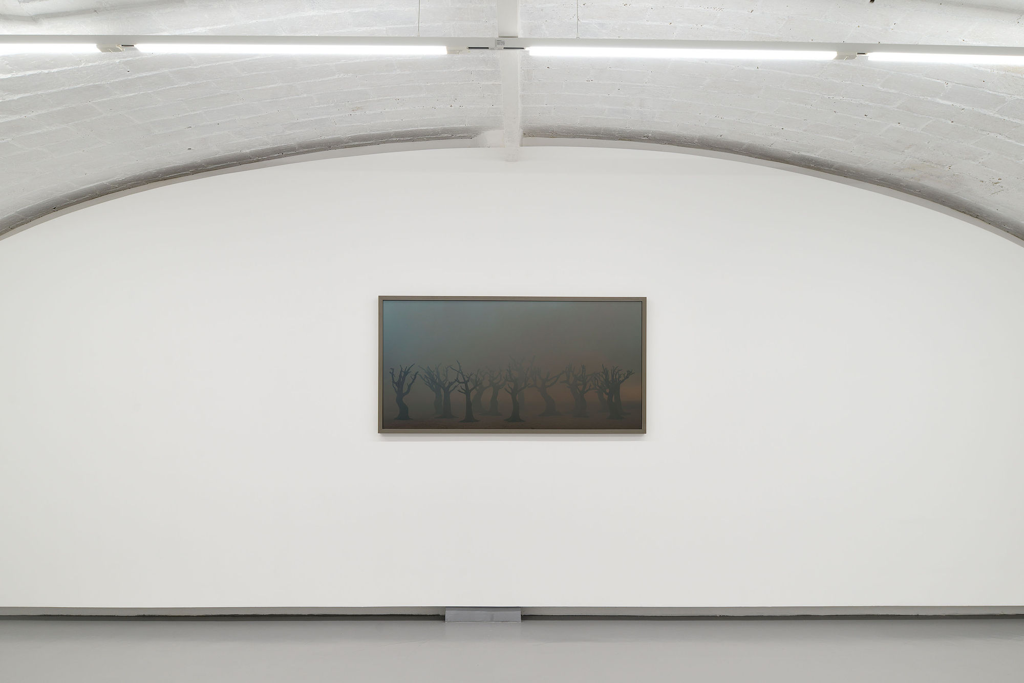 Installation View | Silvia Camporesi, Uno strappo nel cielo di carta, z2o Sara Zanin, 2026 Ph. Roberto Apa