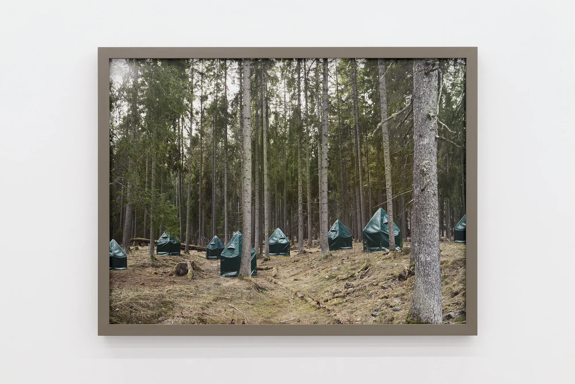 Silvia Camporesi, Kistefos Sculpture Park, 2025, Inkjet print on Hahnemühle FineArt Pearl paper mounted on Dibond, painted wooden frame, UV70 museum glass. Edition: 1/5 + 2 A.P. cm 60 × 80 (framed: cm 64 x 84). Ph. Roberto Apa Courtesy of the artist and z2o Sara Zanin