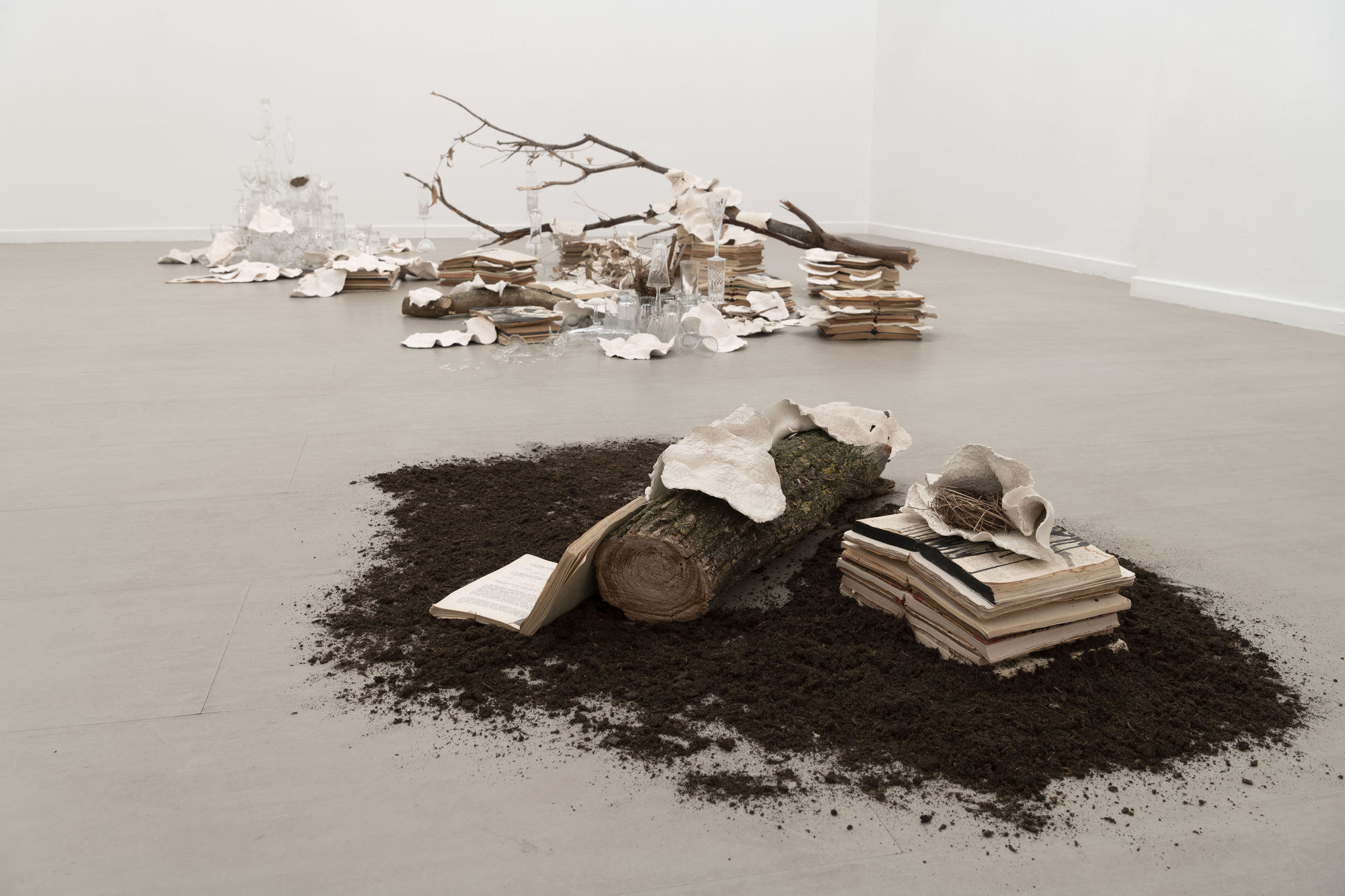 Ekaterina Panikanova, Attraversando il mio giardino, curated by Marina Dacci, z2o Sara Zanin Gallery Rome