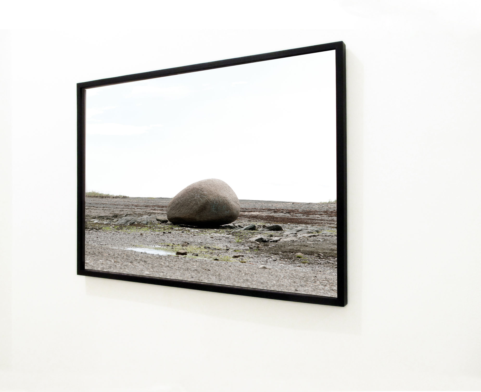 Silvia Camporesi Where all become, 2012 Installation view