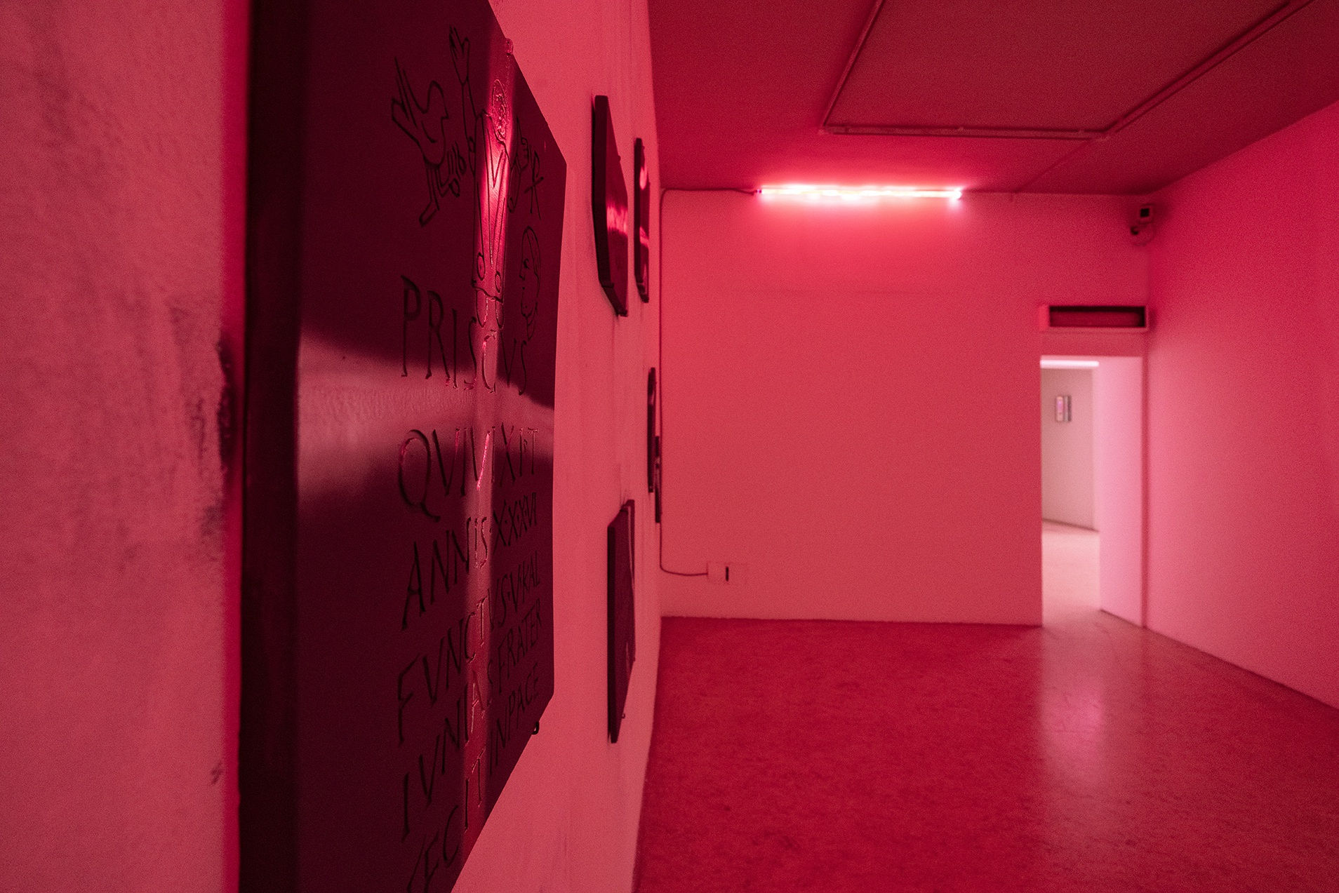 Giovanni de Cataldo, Spina, double show with Gianfranco Maranto, curated by Daniela Bigi and Gianna Di Piazza, Palazzo Ziino, Palermo