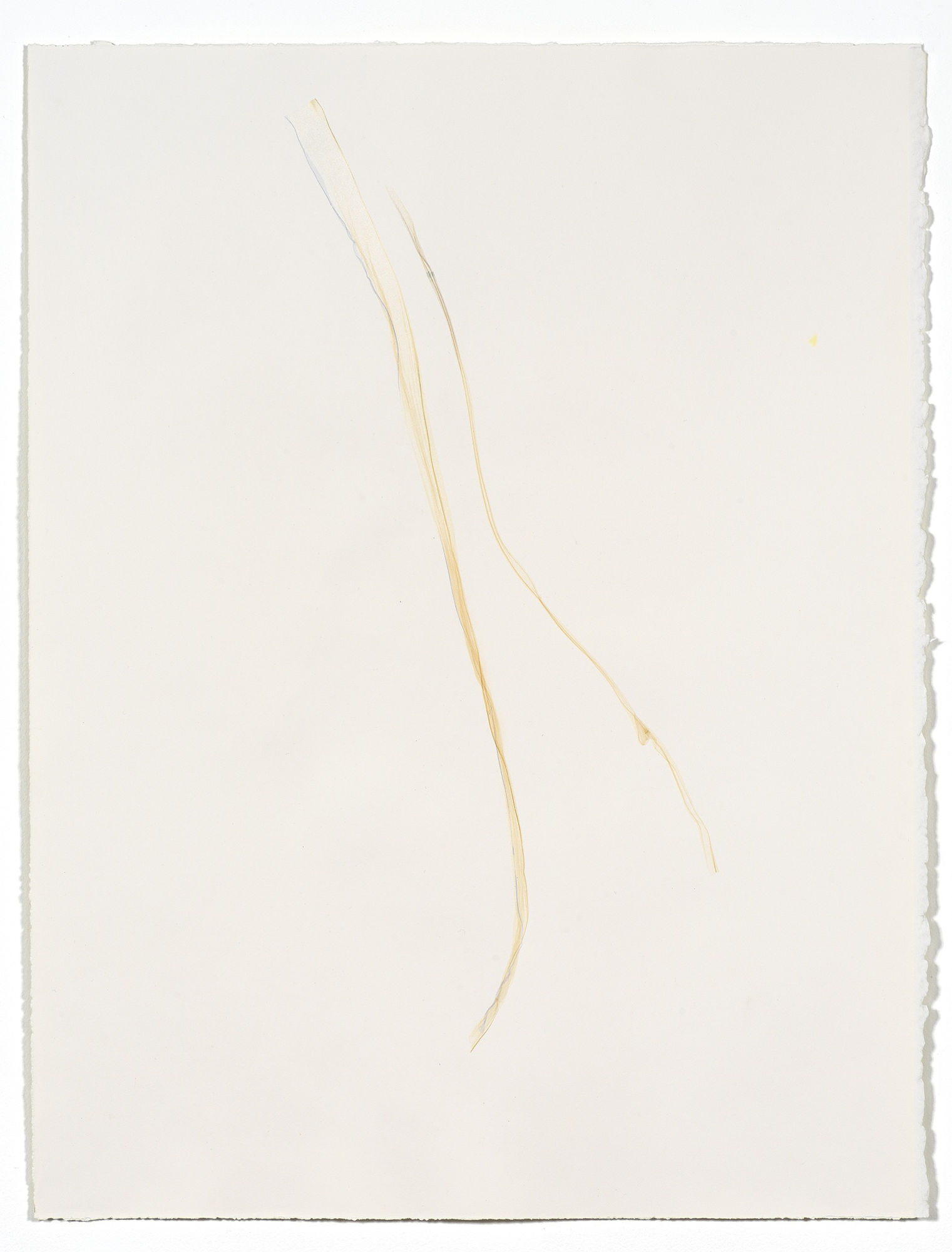 Beatrice Pediconi Untitled small #9, 2019 emulsion lift on watercolor paper cm 66 x 50, cm 75 x 60 with frame and glass