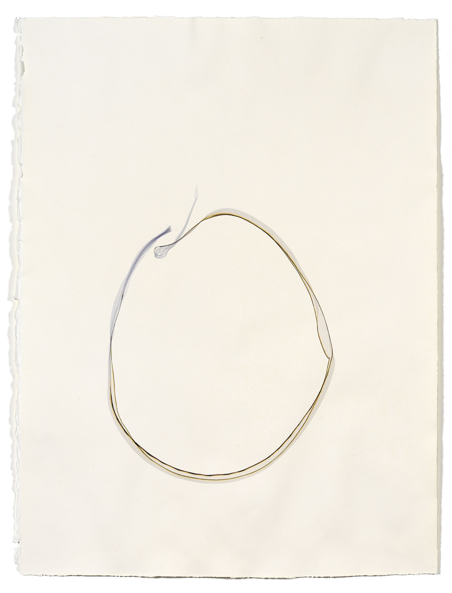 Beatrice Pediconi Untitled small #12, 2019 emulsion lift on watercolor paper cm 66 x 50, cm 75 x 60 with frame and glass