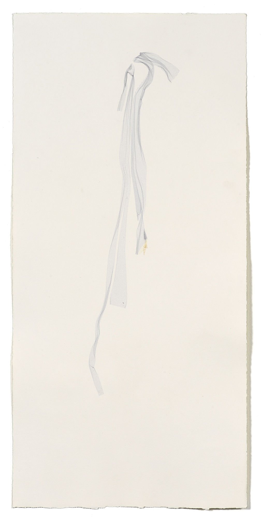 Beatrice Pediconi Untitled small #3, 2020 emulsion lift on watercolor paper cm 66 x 30, cm 73 x 38 with frame and glass