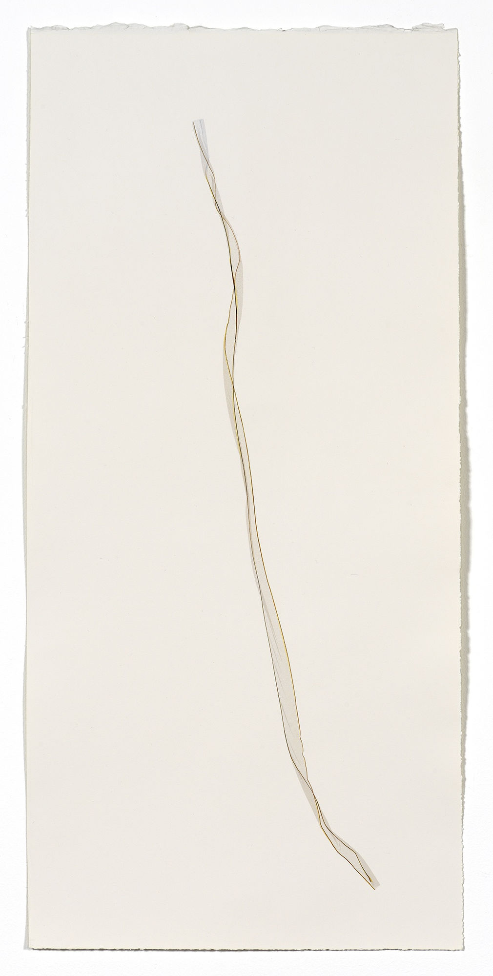 Beatrice Pediconi Untitled small #12, 2020 emulsion lift on watercolor paper cm 66 x 30, cm 73 x 38 with frame and glass