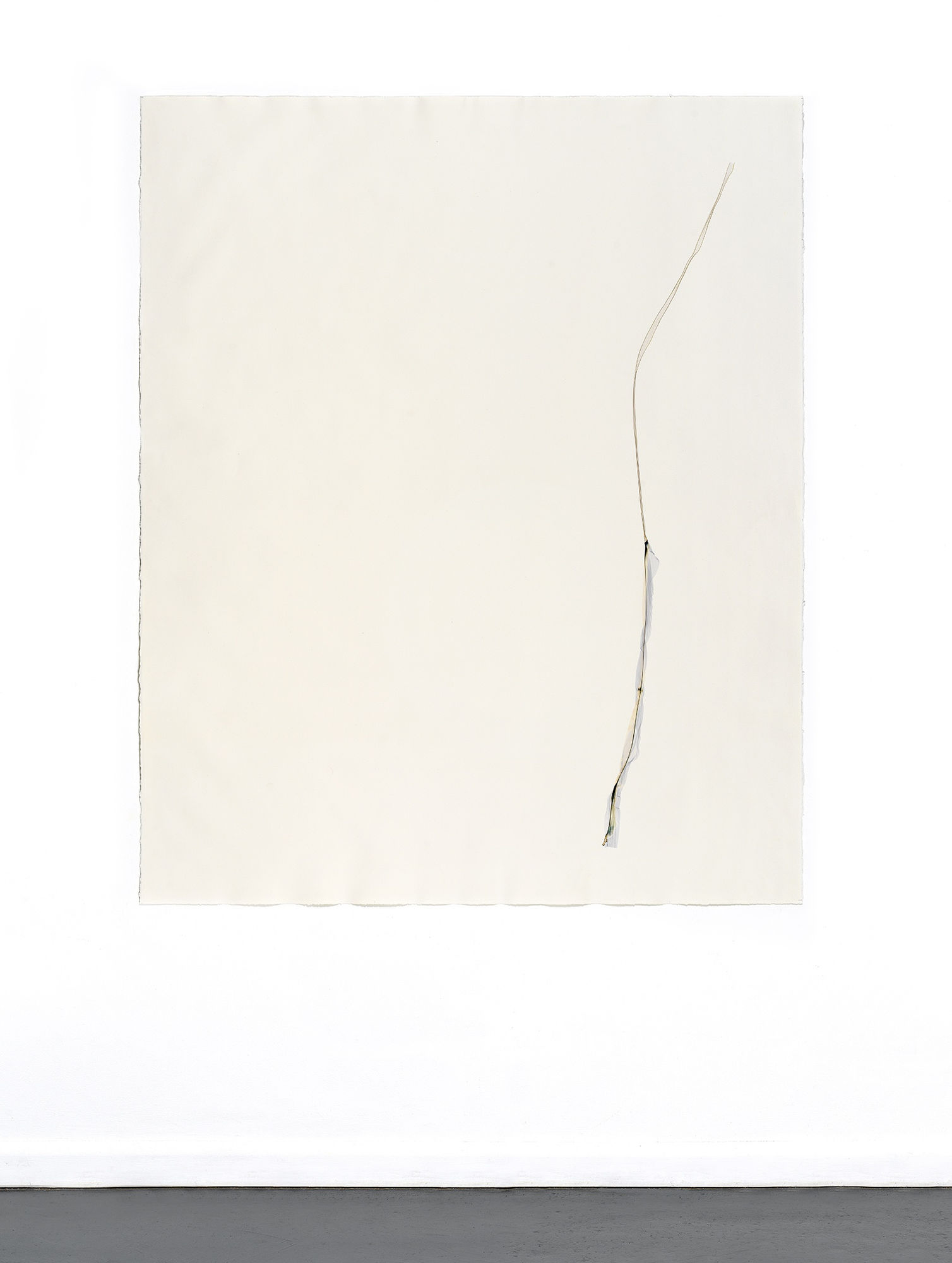 Beatrice Pediconi Untitled #1, 2020 emulsion lift on watercolor paper cm 160 x 130