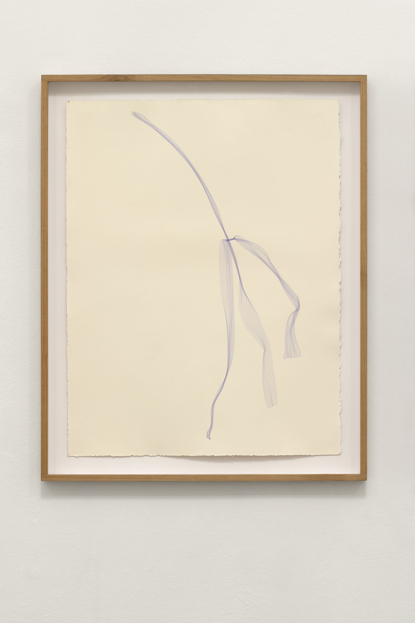 Beatrice Pediconi Untitled Small #15, 2020 Emulsion lift on paper cm 66x50, with frame and glass cm 75 x 60