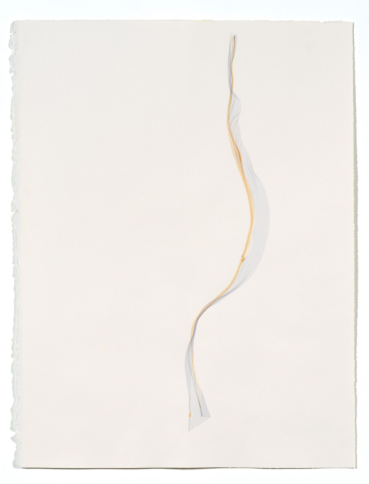 Beatrice Pediconi Untitled small #11, 2019 emulsion lift on watercolor paper cm 66 x 50, cm 75 x 60 with frame and glass