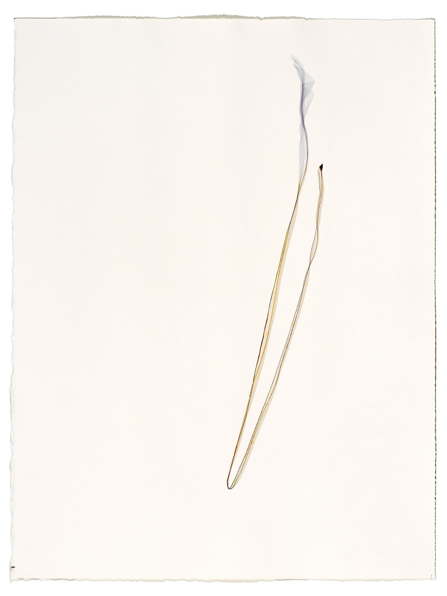 Beatrice Pediconi Untitled small #23, 2019 emulsion lift on watercolor paper cm 66 x 50, cm 75 x 60 with frame and glass