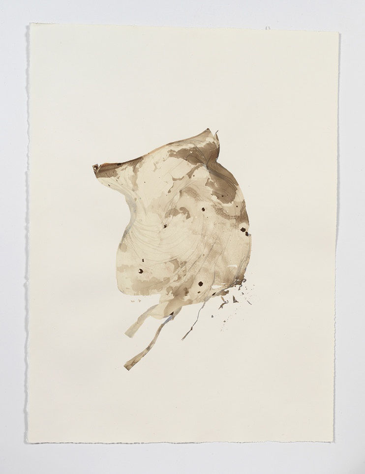 Beatrice Pediconi Anamnesis #1, 2019 Mixed media on watercolor paper Cm 66 x 50, cm 75 x 59 x 4 framed